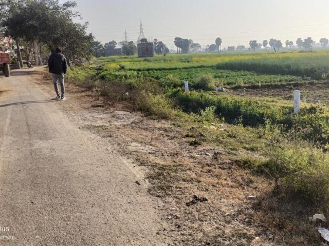Residential Plot in Sampatchak for resale Patna. The reference number is 19444916