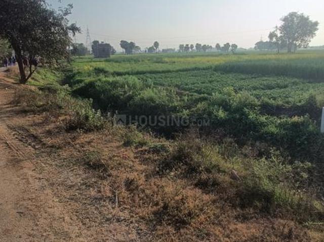 Residential Plot in Sampatchak for resale Patna. The reference number is 19445011