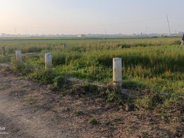 Residential Plot in Sampatchak for resale Patna. The reference number is 19445946