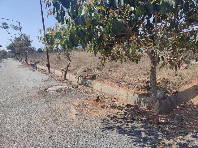 Residential Plot in Sampigehalli for resale Bengaluru. The reference number is 11382871