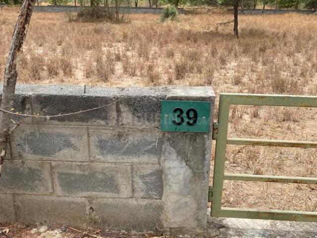 Residential Plot in Sanand for resale Ahmedabad. The reference number is 11488303