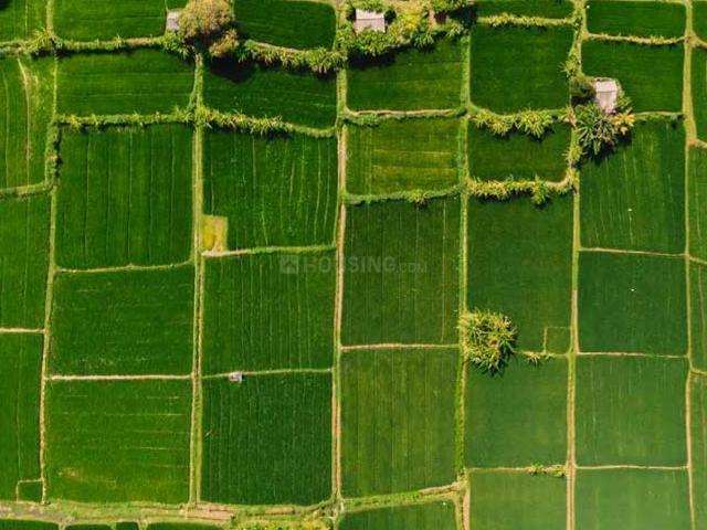 Residential Plot in Sanand for resale Ahmedabad. The reference number is 17065511