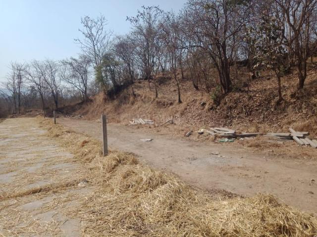 Residential Plot in Sangrun for resale Pune. The reference number is 16972197