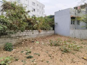 Bangalore, Bangalore District, Tamil Nadu