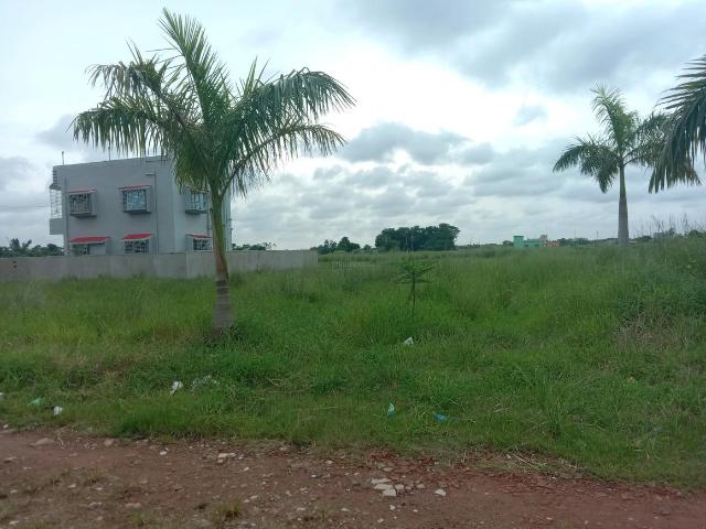Residential Plot in Sankharipota for resale Raypur. The reference number is 20741590