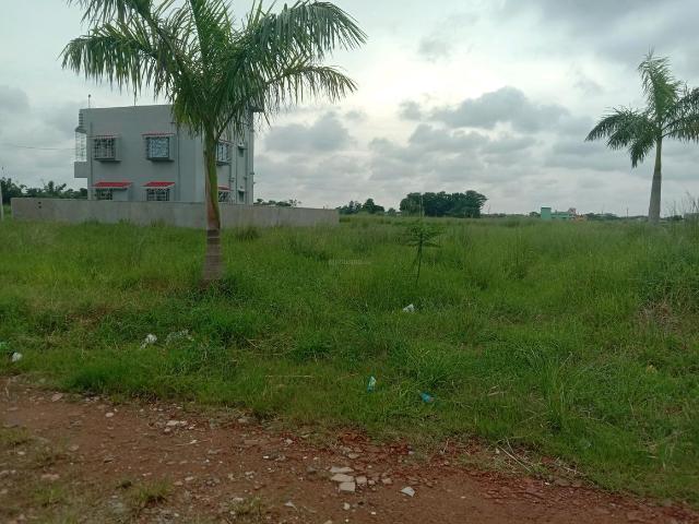 Residential Plot in Sankharipota for resale Raypur. The reference number is 20741591