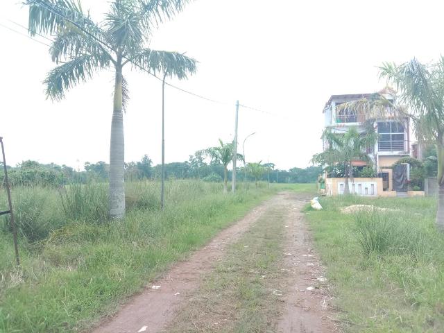Residential Plot in Sankharipota for resale Raypur. The reference number is 20829361