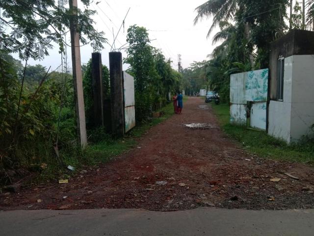 Residential Plot in Sankharipota for resale Raypur. The reference number is 21276251