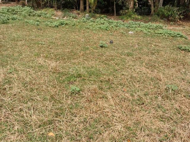 Residential Plot in Sankrail for resale Howrah. The reference number is 13934151