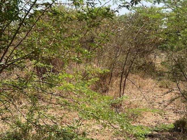 Residential Plot in Santej for resale Ahmedabad. The reference number is 18588718