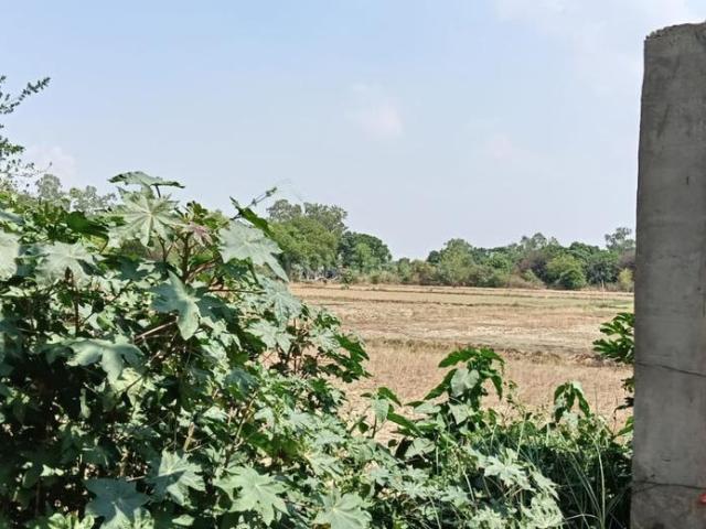 Residential Plot in Sarojini Nagar for resale Lucknow. The reference number is 20390482