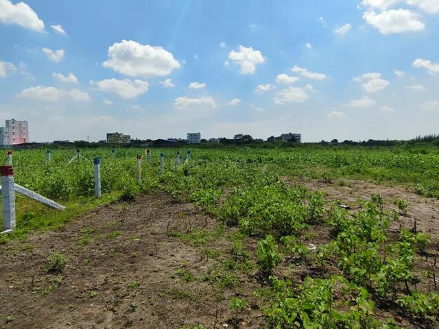 Residential Plot in Saravanampatty for resale Coimbatore. The reference number is 19026562