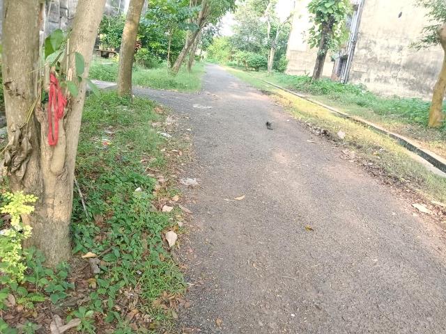 Residential Plot in Sarada Pally for resale Kolkata. The reference number is 21212305