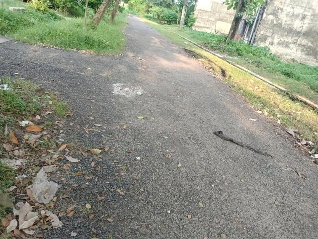 Residential Plot in Sarada Pally for resale Kolkata. The reference number is 21212312