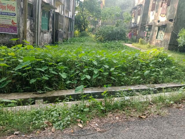 Residential Plot in Sarada Pally for resale Kolkata. The reference number is 21212320