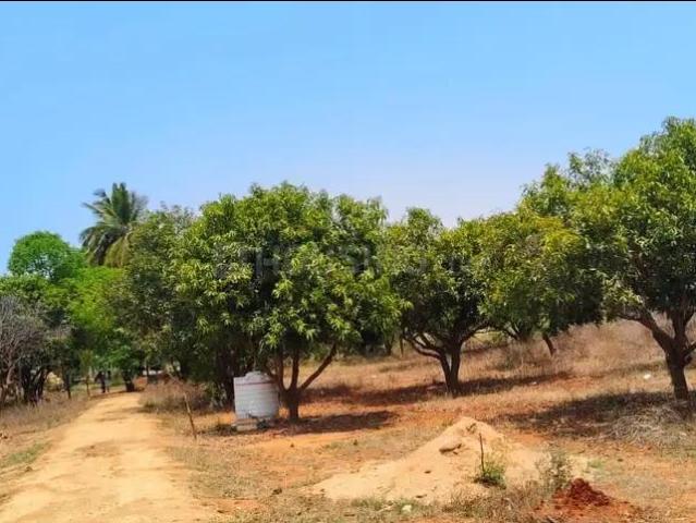 Residential Plot in Sarde for resale Navi Mumbai. The reference number is 17699575