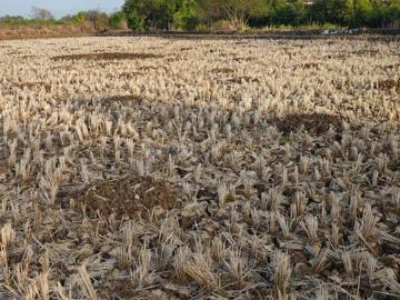 Residential Plot in Sarde for resale Navi Mumbai. The reference number is 20544905