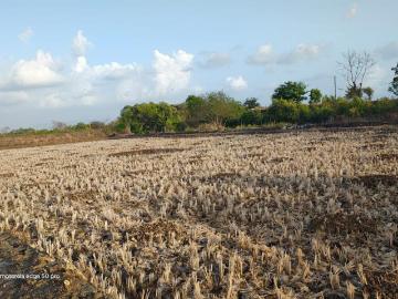 Residential Plot in Sarde for resale Navi Mumbai. The reference number is 20545169