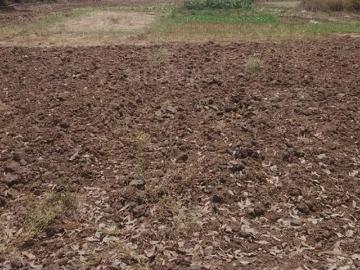 Residential Plot in Sarde for resale Navi Mumbai. The reference number is 20568142