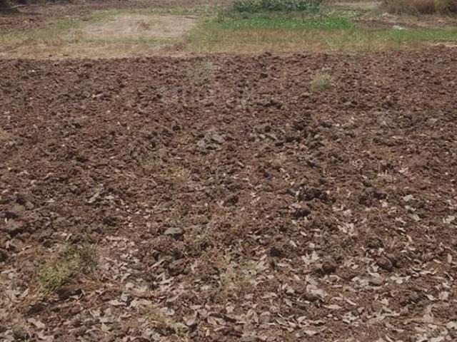 Residential Plot in Sarde for resale Navi Mumbai. The reference number is 20568142