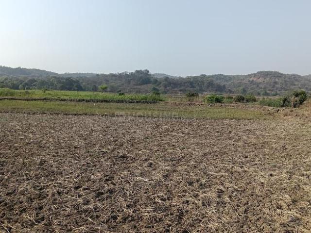 Residential Plot in Sarde for resale Navi Mumbai. The reference number is 20876733