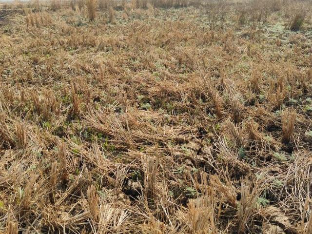 Residential Plot in Sarde for resale Navi Mumbai. The reference number is 20136853