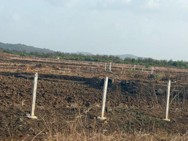 Residential Plot in Sarde for resale Navi Mumbai. The reference number is 21230098