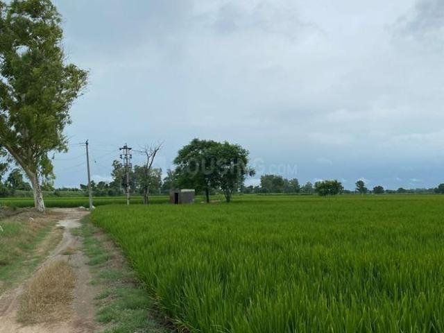 Residential Plot in Sarde for resale Navi Mumbai. The reference number is 21322692
