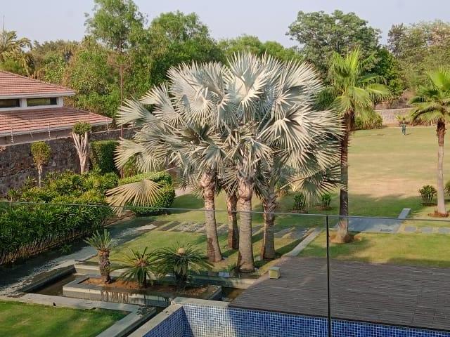 Residential Plot in Satbari for resale New Delhi. The reference number is 16934556