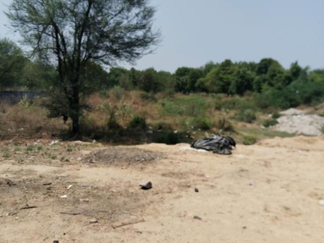 Residential Plot in Satellite for resale Ahmedabad. The reference number is 16750934