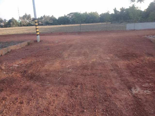 Residential Plot in Satyabhamapur for resale Bhubaneswar. The reference number is 19246114