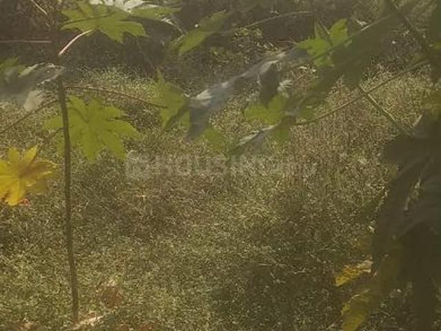 Residential Plot in Scheme No 54 for resale Indore. The reference number is 15880940