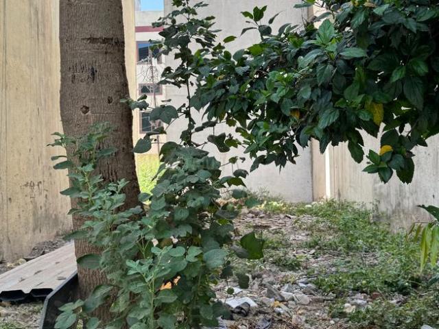 Residential Plot in Scheme No 114 for resale Indore. The reference number is 19747509