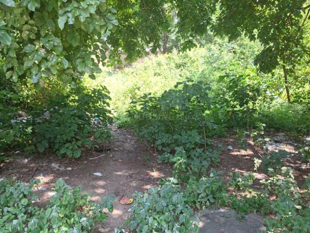 Residential Plot in Scheme No 140 for resale Indore. The reference number is 21216117