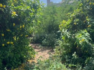Residential Plot in Science City for resale Ahmedabad. The reference number is 18508263
