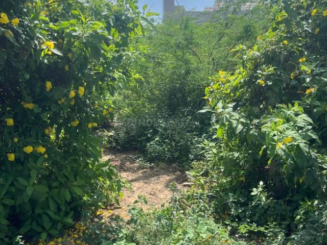 Residential Plot in Science City for resale Ahmedabad. The reference number is 18508263