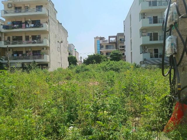 Residential Plot in Sector 43 for resale Gurgaon. The reference number is 21050006