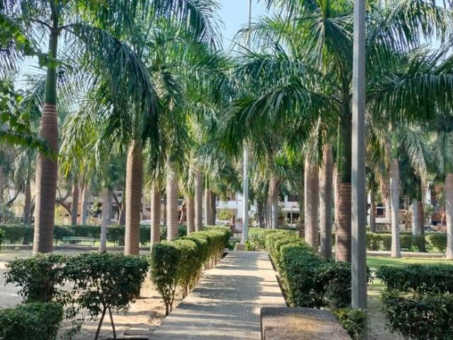 Residential Plot in Sector 41 for resale Noida. The reference number is 20255053