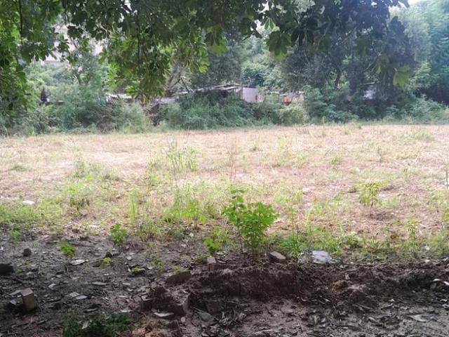 Residential Plot in Sector 47 for resale Gurgaon. The reference number is 15786889