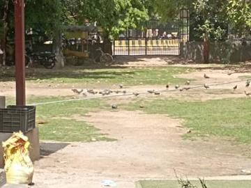 Residential Plot in Sector 44 for resale Noida. The reference number is 20178100