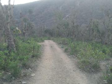 Residential Plot in Sector 45 for resale Noida. The reference number is 16961602