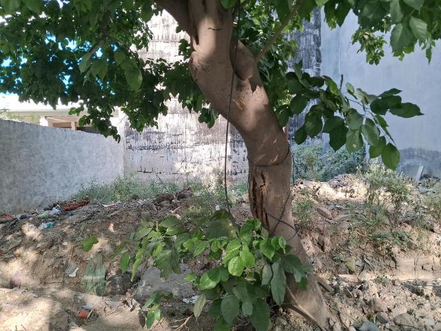 Residential Plot in Sector 45 for resale Noida. The reference number is 20286299