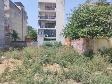 Sector-45 Faridabad, Faridabad, Gautam Buddha Nagar District, Delhi