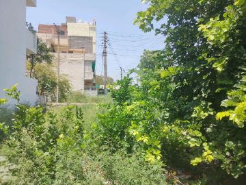 Sector-45 Faridabad, Faridabad, Gautam Buddha Nagar District, Delhi