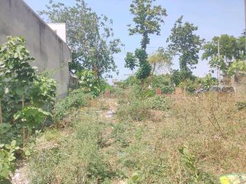 Sector-45 Faridabad, Faridabad, Gautam Buddha Nagar District, Delhi