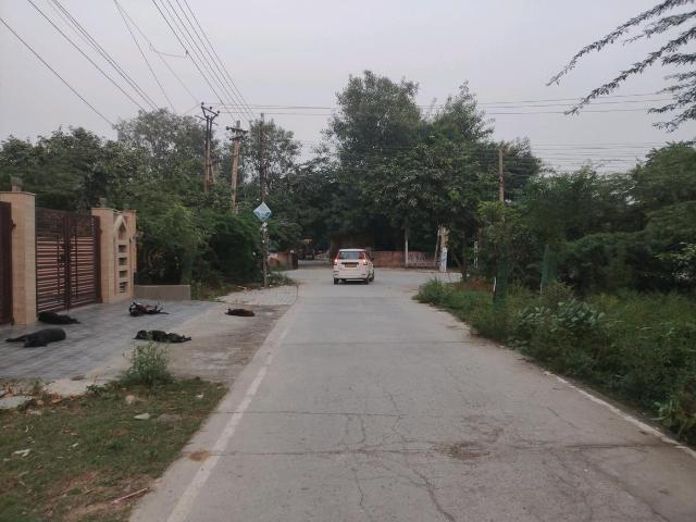 Residential Plot in Sector 45 for resale Faridabad. The reference number is 21330863