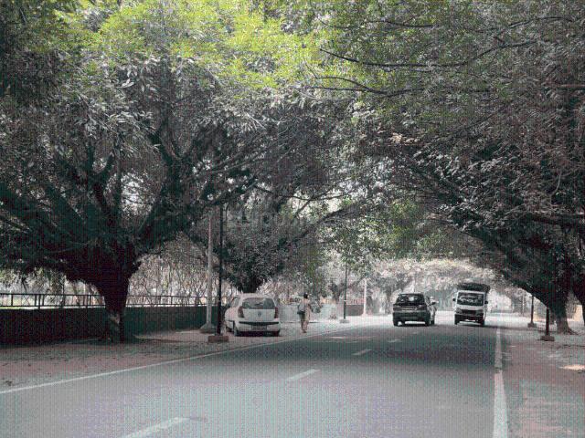 Residential Plot in Sector 46 for resale Noida. The reference number is 19893533