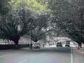 Residential Plot in Sector 46 for resale Noida. The reference number is 19893533