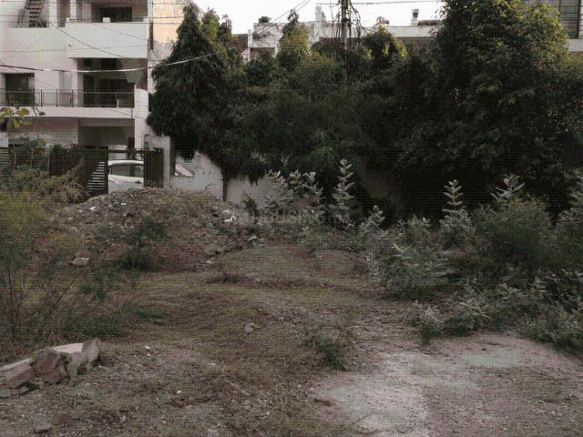 Residential Plot in Sector 46 for resale Faridabad. The reference number is 21051203