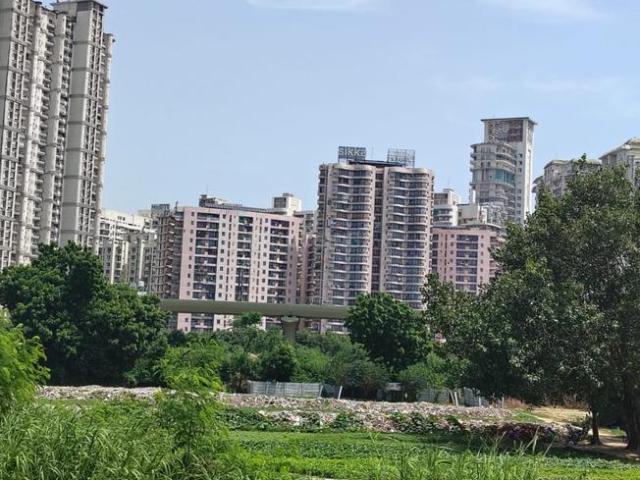 Residential Plot in Sector 49 for resale Noida. The reference number is 21326381